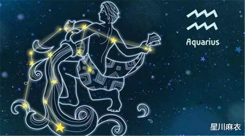 水平是什么星座的